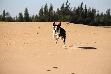 视觉小说+战棋游戏《二分之一》上线Steam 9月24日发售